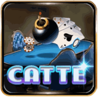 catte hitclub
